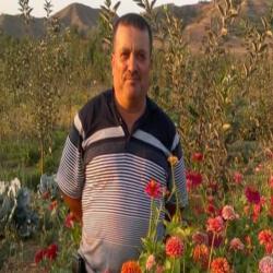 HACI SÜLEYMAN DİLSİZOĞLU