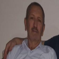 MAHMUT ŞEVKET SEVİMLİ 