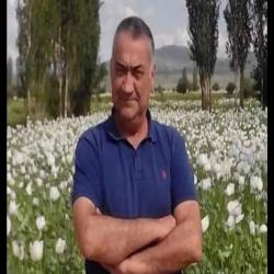 MEHMET PERÇİN